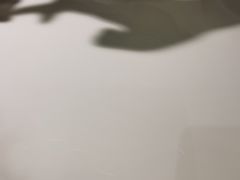 -兰湘子·湘菜小炒(石家庄万象城店)