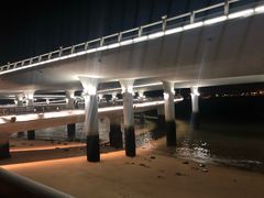 -演武大桥观景平台