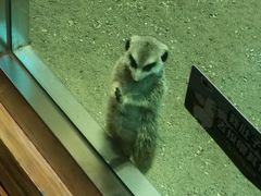 -大连圣亚海洋世界