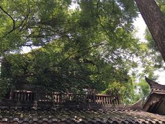 -见山书院
