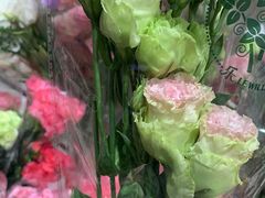 -AEON永旺(东方宝泰店)