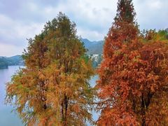 -海兰云天度假区温泉