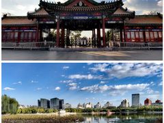 -莲花池公园