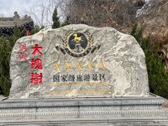 -大槐树寻根祭祖园