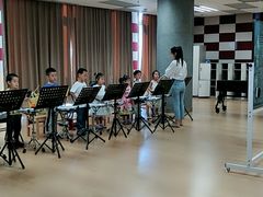 -中国宋庆龄青少年科技文化交流中心