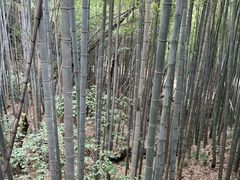 -敬亭山风景名胜区