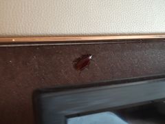 -佛山南海温德姆花园酒店