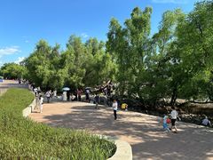 -宝安西湾红树林湿地公园