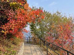 -香山公园