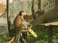 -青藏高原野生动物园