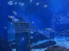 -海合安武汉极地海洋公园