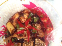 -红星兔丁(武侯祠店)