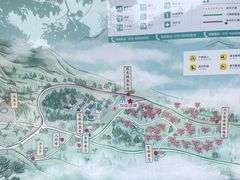 -北京鹫峰国家森林公园