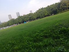 -天鹅湖体育公园
