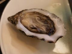 -斯普汇生蚝牛排馆(中骏世界城店)