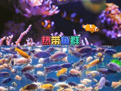 -南昌海洋公园