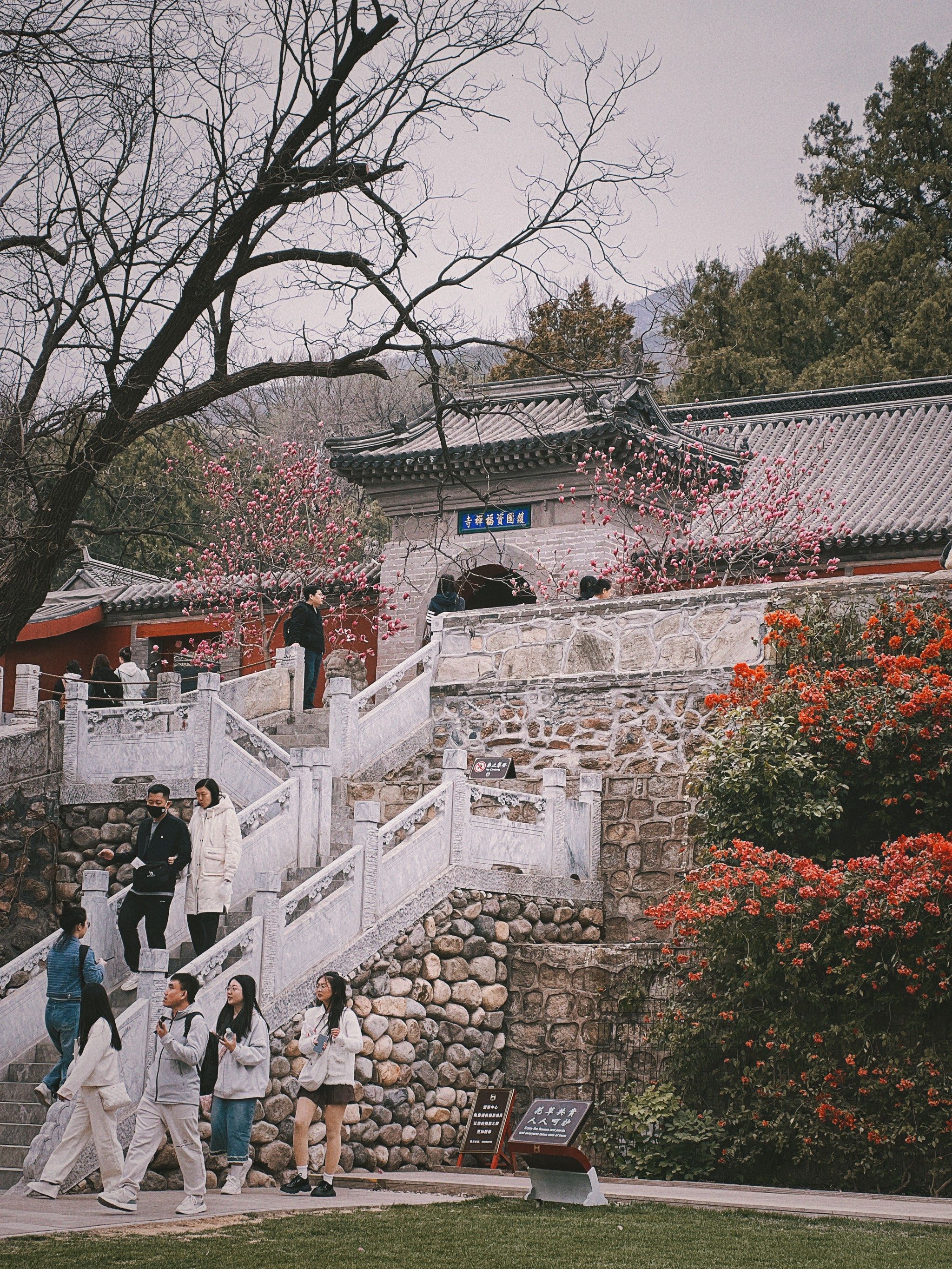 红螺寺的春天