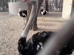 -银川动物园