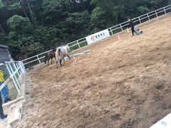 -枫露马术学院(藏书校区)