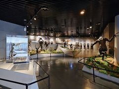 -北京周口店北京人遗址博物馆