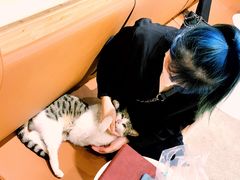 -MQ COFFEE STAND明谦(新洲店)