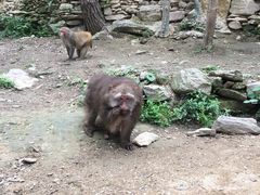 -木兰云雾山