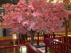 -大江户·温泉洗浴(浑南店)