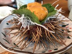 活海胆刺身-酒井酱子·深夜食堂(东城汇店)