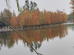 -白鹭湾湿地公园