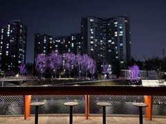 -坝河休闲公园
