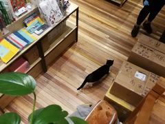 -猫的天空之城概念书店(杭州南宋御街店)