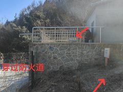 -大觉寺-停车场