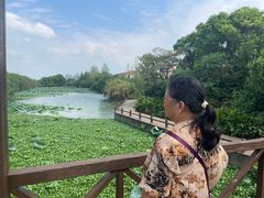 -艾溪湖湿地公园