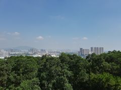 -四望岗公园