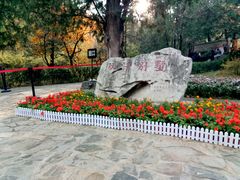 -香山公园
