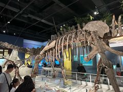 -国家自然博物馆