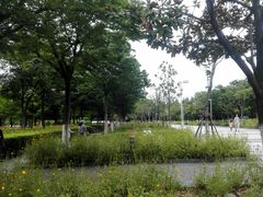 -白塘生态植物园