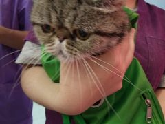-荔康动物医院(康王北路店)