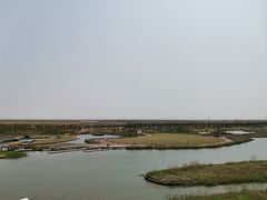 -春花秋色城市公园