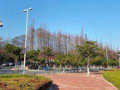 -青岛第三海水浴场