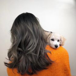 -Style HAIR