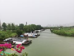 -三垟湿地