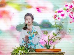 -武汉琴台钢琴博物馆