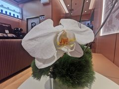 -蓉小乔·RONG COFFEE(春熙路店)