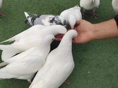 -华谊兄弟（长沙）电影小镇