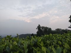 -火炉山森林公园