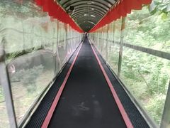 -香炉山国家森林公园