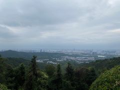 -旺山景区