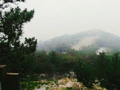 -石老人观光园