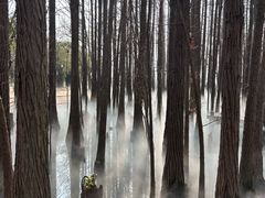 -东湖落雁景区